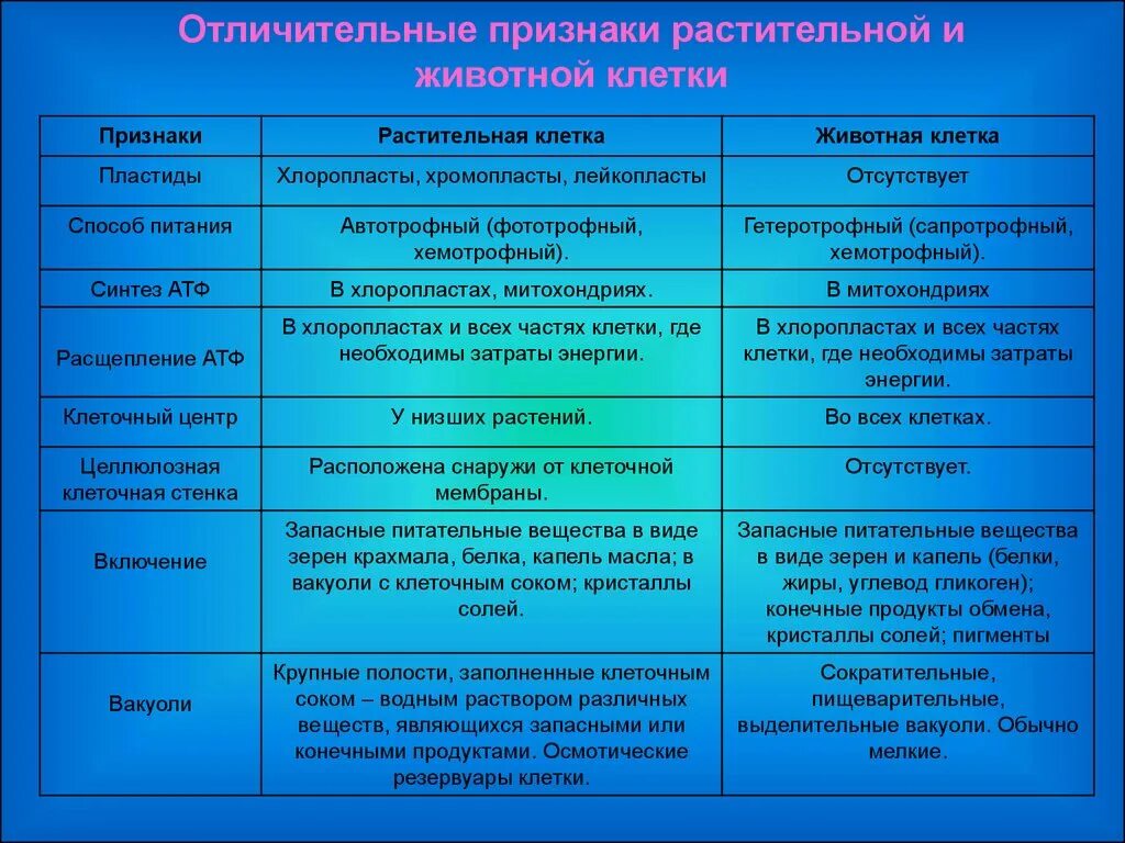 Выберите признаки растительной клетки. Основные методы изучения клетки 10 класс. Методы исследования в цитологии таблица. Метод изучения клетки таблица. Методы изучения клетки таблица биология 10 класс.