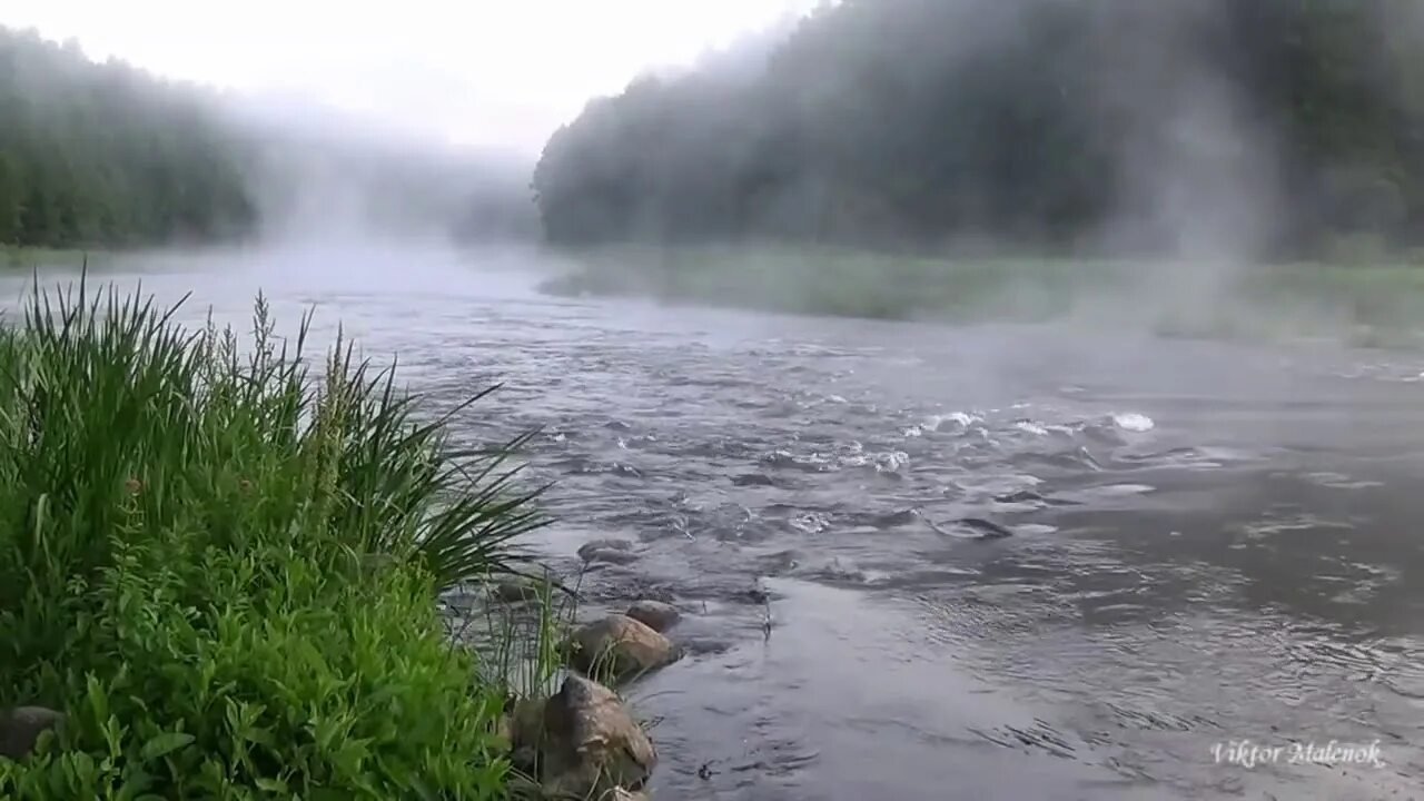 Шум воды становился. Река утро релакс. Звуки над водой. Водяной туман газон. Звук в тумане.