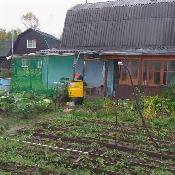 Садоводство строитель. Дача садоводство строитель. Снт строитель 2. Сады строитель бийск. Садоводство строитель.