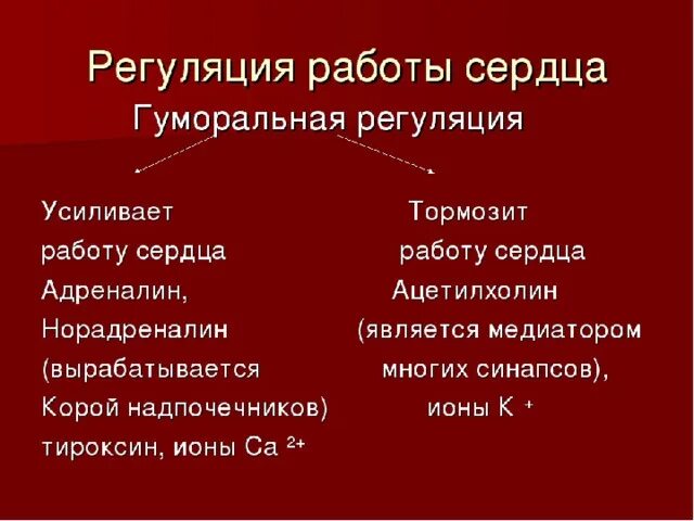 Гуморальная регуляция работы сердца осуществляется. Гуморальная регуляция сердца. Гуморальная регуляция работы сердца. Гуморальная регуляция сердца физиология. Факторы тормозящие работу сердца.