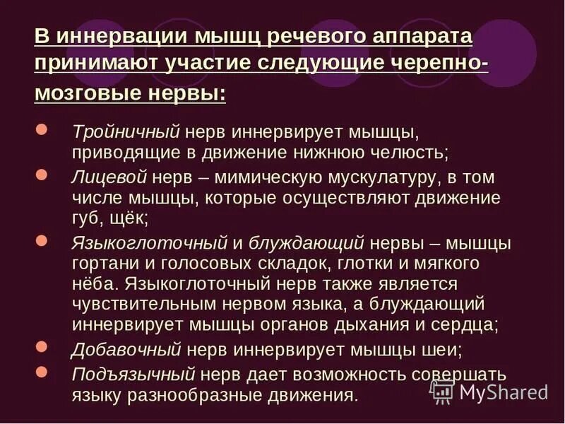 Иннервация мышц артикуляционного аппарата. Иннервация речевого аппарата. Иннервация мышц речевого аппарата. Анатомо-физиологические механизмы речи.