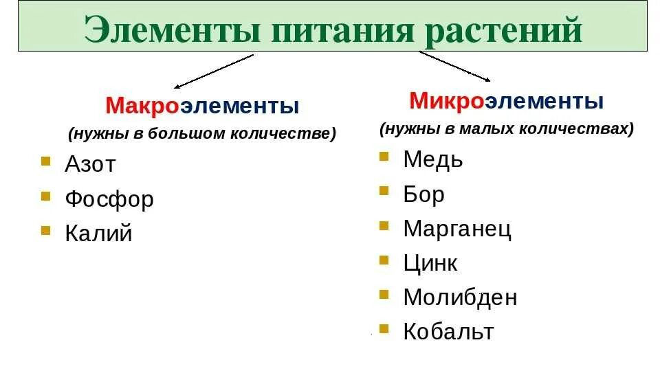 Основные элементы питания растений