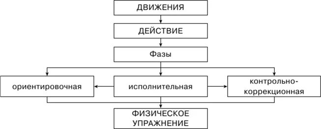Структуры двигательных действий. Структура двигательных действий. психологическая структура двигательного действия. виды двигательных действий.