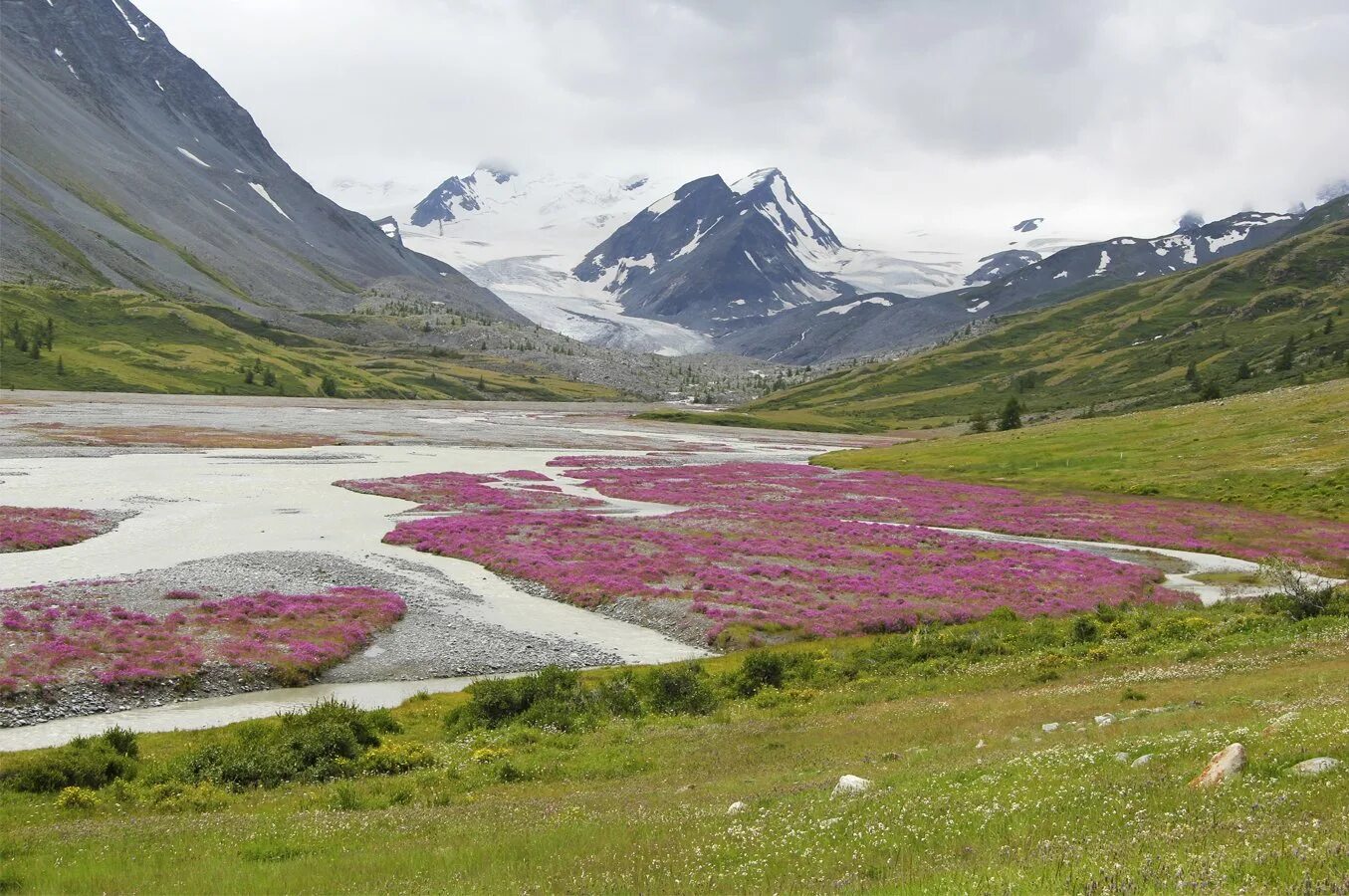 Софийский ледник алтай. Долина аккол горный алтай. К ледник у красной горы горный алтай. Долина аккол софийский ледник алтай. Софийский ледник архыз.