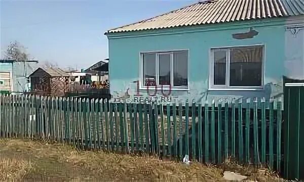 Погода в шелаболихе алтайского края на 14. Село Кучук Алтайский край. Макарово Алтайский край Шелаболихинский район. Село Кучук Шелаболихинский район. Село верх Кучук Шелаболихинского района Алтайского края.