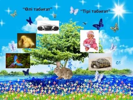 Олар менің көкірекшелеріме жабысты