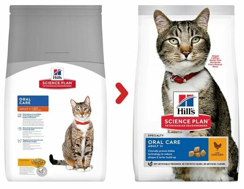 Корм для кошек hill s купить. Сухой корм Hill's Science Plan для взрослых кошек. Хиллс для кошек и котят. Science Plan для кошек.