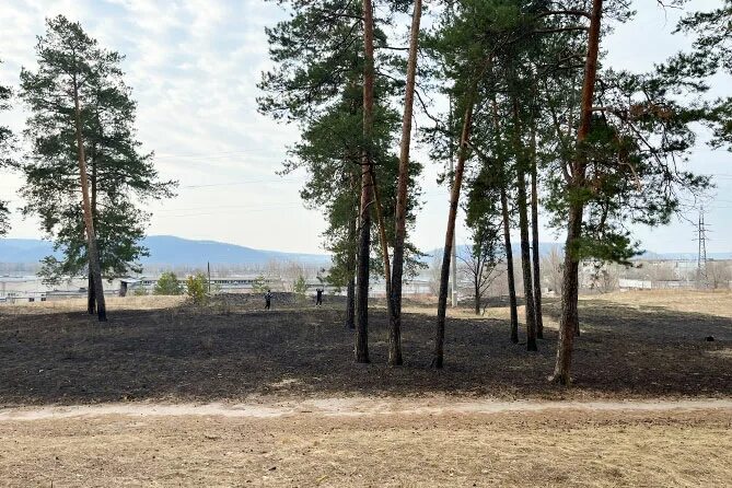 Экопарк шлюзовой тольятти. Эко парк шлюзовой тольятти фото. Экопарк тольятти. Эко парк шлюзовой самарская область тольятти. Экопарк тольятти.
