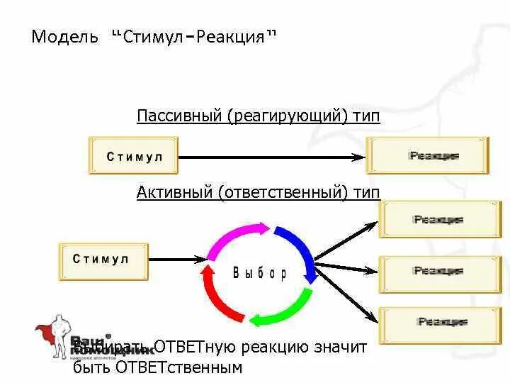 Стимул это воздействие. Схема стимул реакция. Стимул-реакция бихевиоризм. Стимумул реакция. Стимул реакция в психологии.