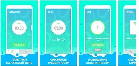 Приложение 5 дней