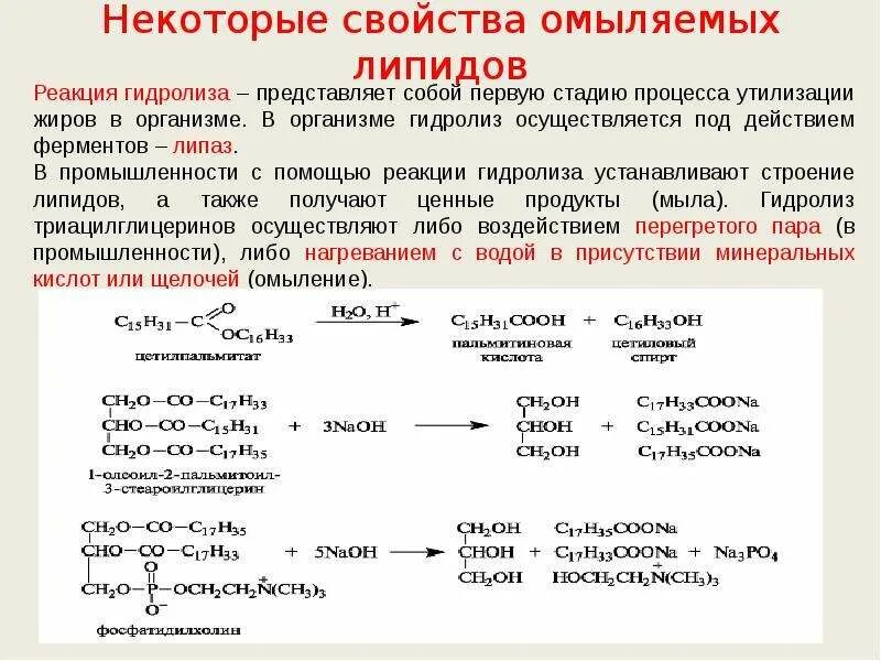 Гидролиз жиров ферменты. Гидролиз омыляемых липидов. Ферментативный гидролиз липидов. Качественные реакции на липиды. Свойства омыляемых липидов.