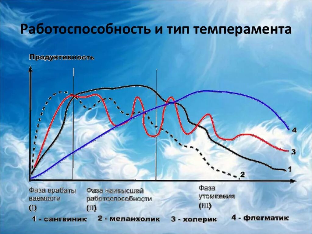 Холерик это человек который. Холерический тип темперамента. Профессии для холерика меланхолика. Профессии для меланхоликов. Кривая работоспособности.