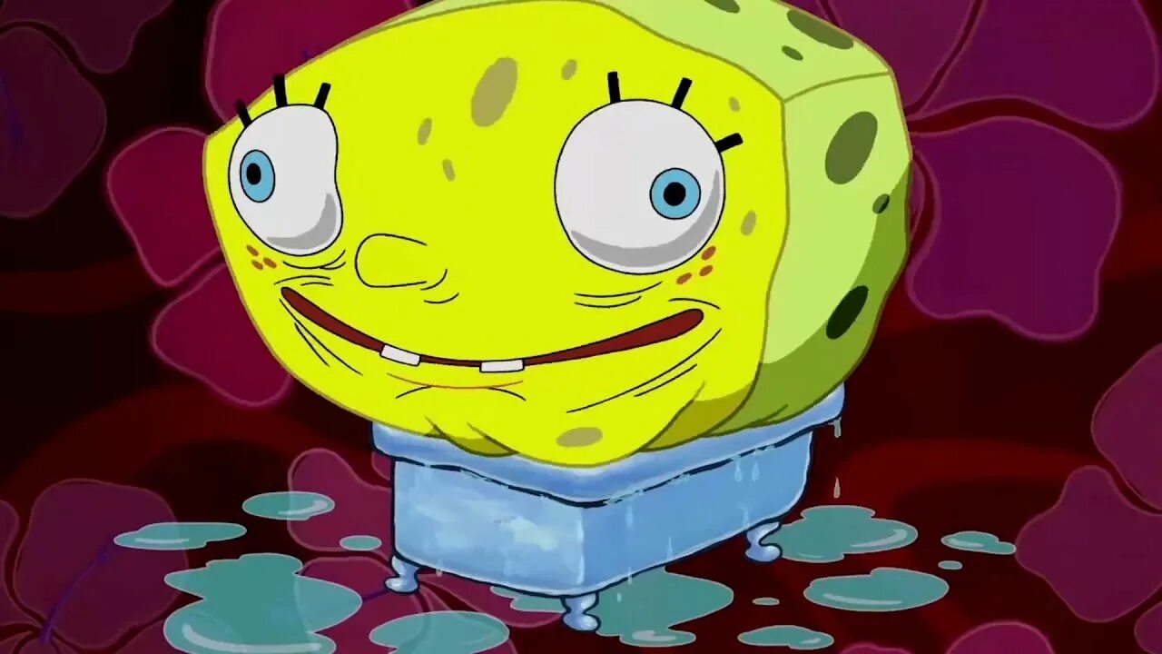 Bob square