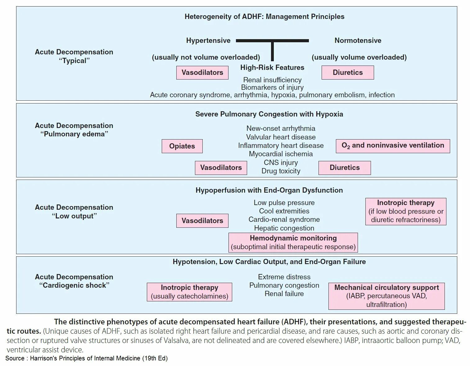 Acute перевод. Heart failure Guidelines. Chronic Heart failure treatment. Acute Heart failure.