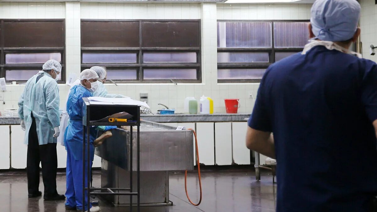 Судебно-генетическая экспертиза. Жилет судебно медицинская экспертиза. День смэ. Медицинская экспертиза. День смэ.