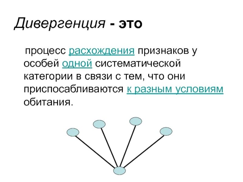 Дивергентные 2. Дивергенция. Дивергенция биология. Понятие дивергенция в биологии. Дивергенция расхождение признаков.