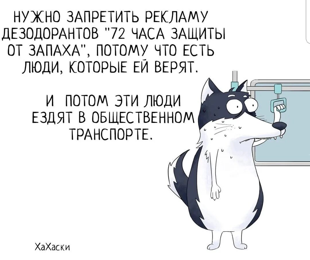 Потому что воняешь. Хахаски. Хахаски новые. Юмор жиза. Хахаски картинки прикольные.