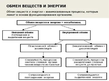 Какие вещества участвуют в двух взаимосвязанных