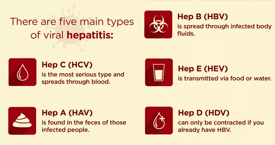 Как по английски кровь. Hepatitis Types. Гепатит виды на английском.