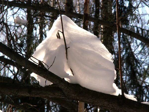 Летопись зимы. 2009 год зима. Летопись зимы. Летопись зимы. Зима 2009-2010.