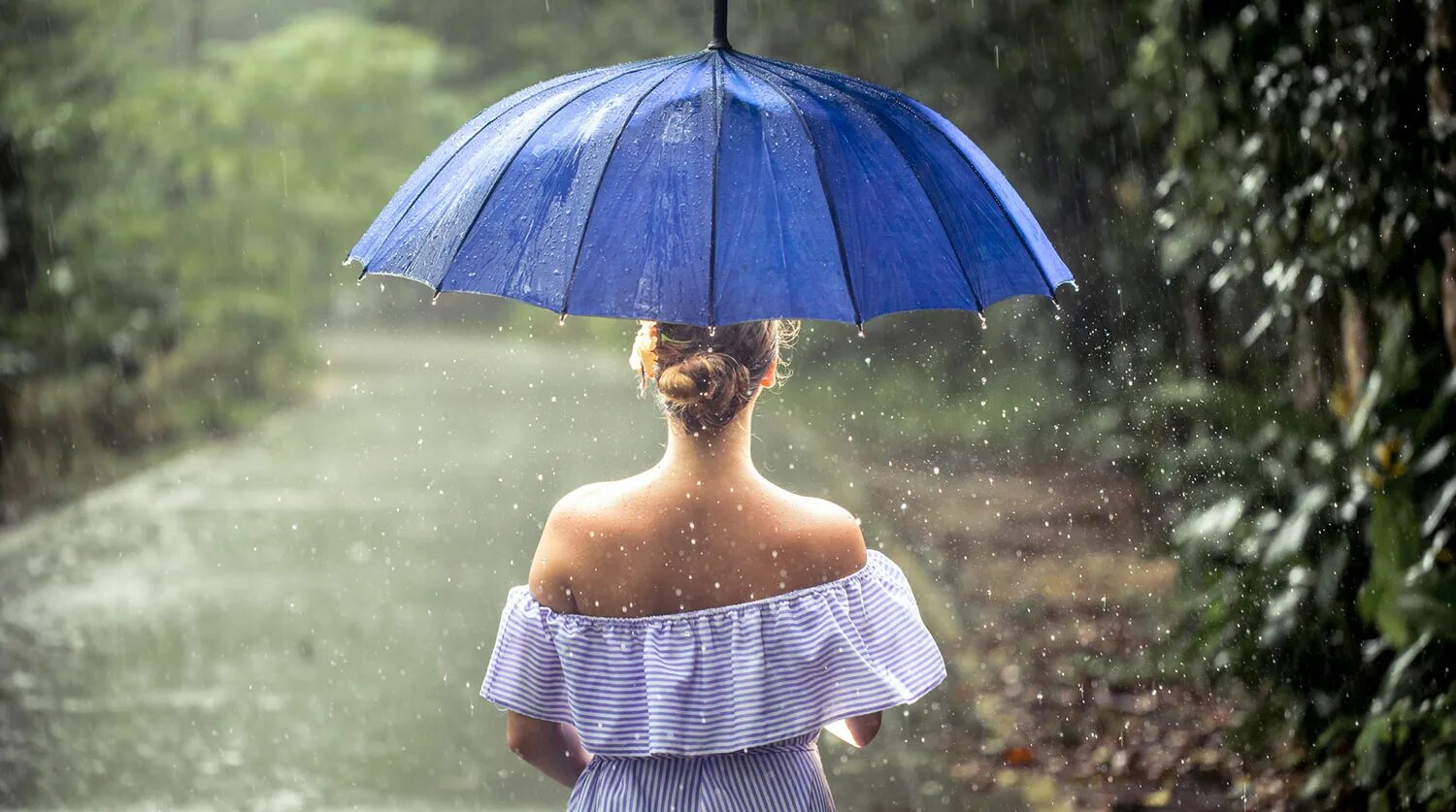 дождик. жождливое лченнее утро. монитор aoc i2381fh. дети под дождем летом. летний дождик.