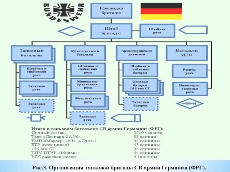 Военные организации германии. Организационно-штатная структура мотопехотного батальона армии ФРГ. Структура армии Германии схема. Организация и вооружение танкового батальона армии ФРГ. Структура армии вс Германии.