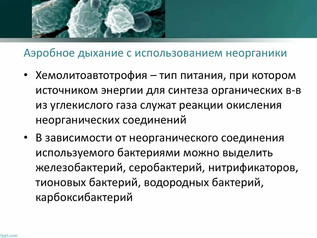 Источники энергии в аэробном дыхании. Аэробное дыхание. Хемолитоавтотрофия. Марганцевая Хемолитоавтотрофия. Аэробное соединение