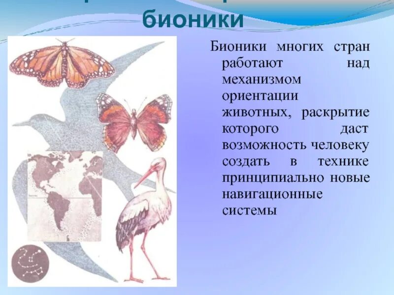 Бионика это наука изучающая. Бионика фирма. Монтаген бионика. Монтаген бионика. Бионика логотип.