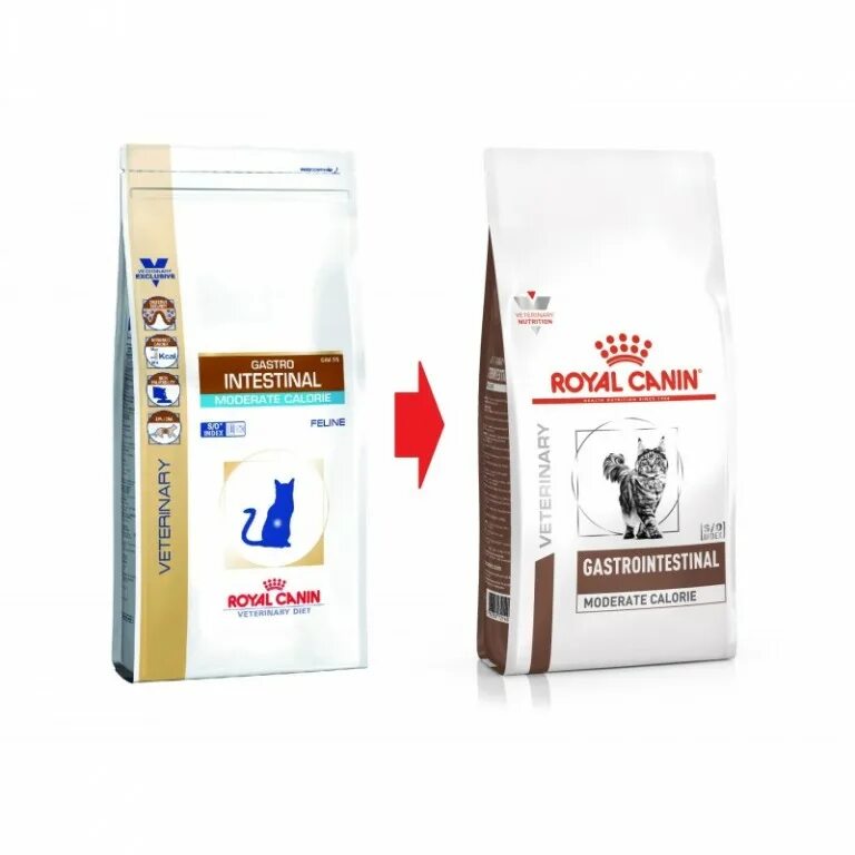 Royal canin gastrointestinal fiber для кошек. Роял Канин гастро Интестинал Файбер для кошек. Корм для кошек Роял Канин гастро Файбер. Роял Канин корм гастро фибра Интестинал для кошек сухой. Royal Canin Gastro intestinal Fibre response для кошек.