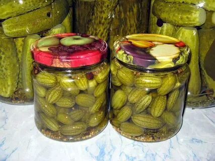 Мелотрия на зиму