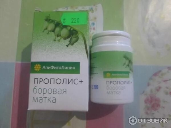 Можно пить боровую матку во время месячных