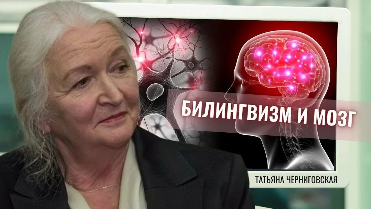 Черниговская про мозг. Черниговская о мозге и и памяти.