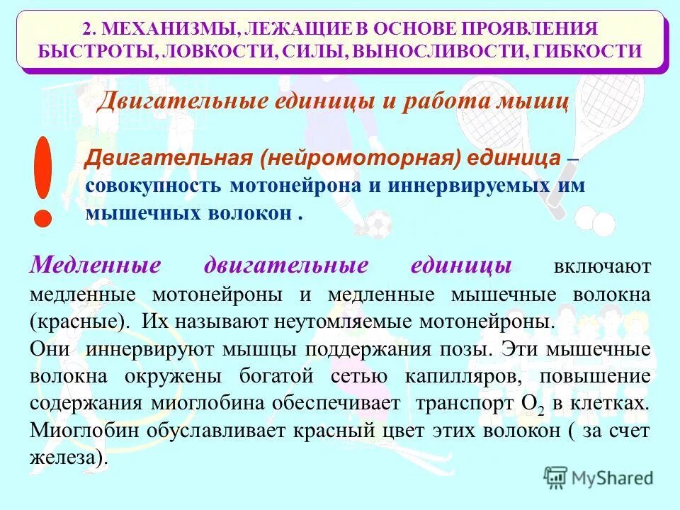 Происхождение человеческих рас кратко. Что лежит в основе формирования человеческих рас. Механизмы формирования человеческих рас. Какие механизмы лежат в основе формирования человеческих. Механизмы лежащие в основе формирования человеческих рас.