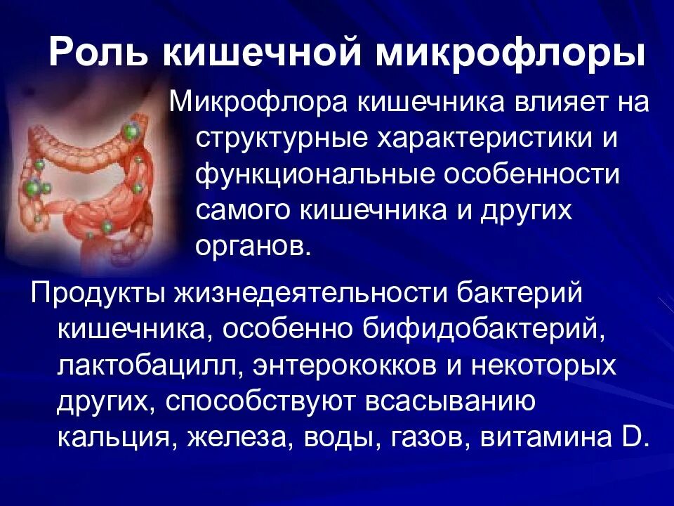 Микрофлора кишки