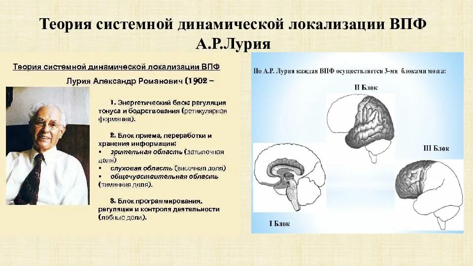 Теория динамической локализации ВПФ (А.Р.Лурия).. Теория системной локализации ВПФ А.Р Лурия. Локализация высших психических функций Лурия. Теория динамической локализации высших психических функций.