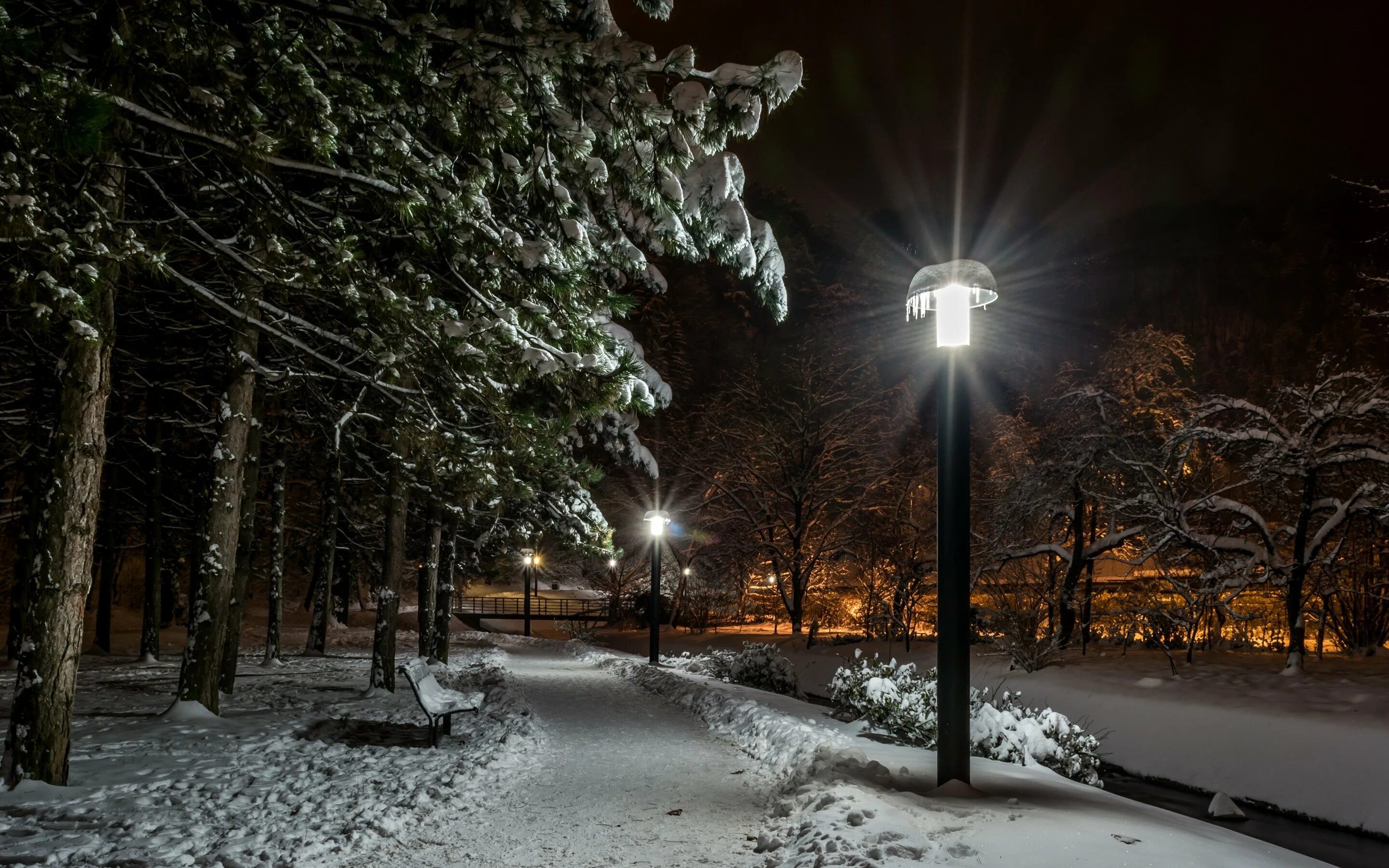 Вечером снежок. Зимний город. Зимний парк. Зимняя ночь в городе. Зимний парк ночью.
