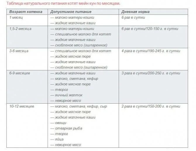 Чем кормить котенка 5 месяцев. Рацион питания котенка 3 месяца. Кормление котят 3 месяца рацион питания. Режим питания котенка 2 месяца. Питание котят от 1 месяца.