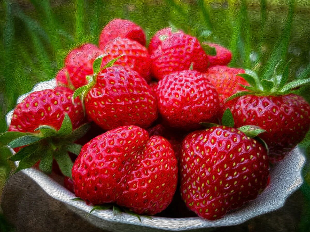 Море клубники. Клубника Адрия фото. Картинки с клубничкой дачные. Sweet strawberry