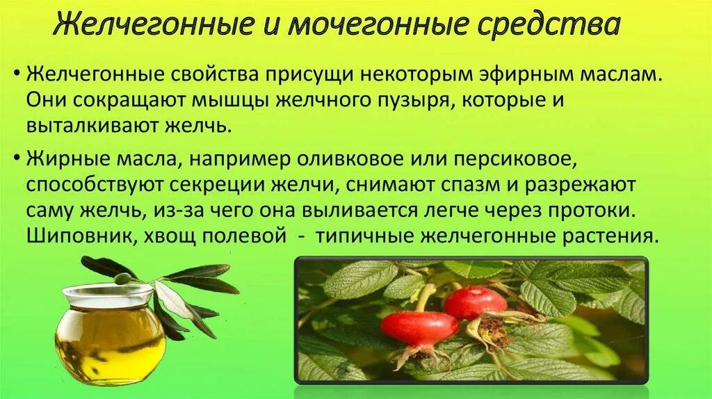 Продукты для выведения желчи. Продукты обладающие желчегонным. Средство для вывода желчи из организма. Какие продукты выводят желчь.