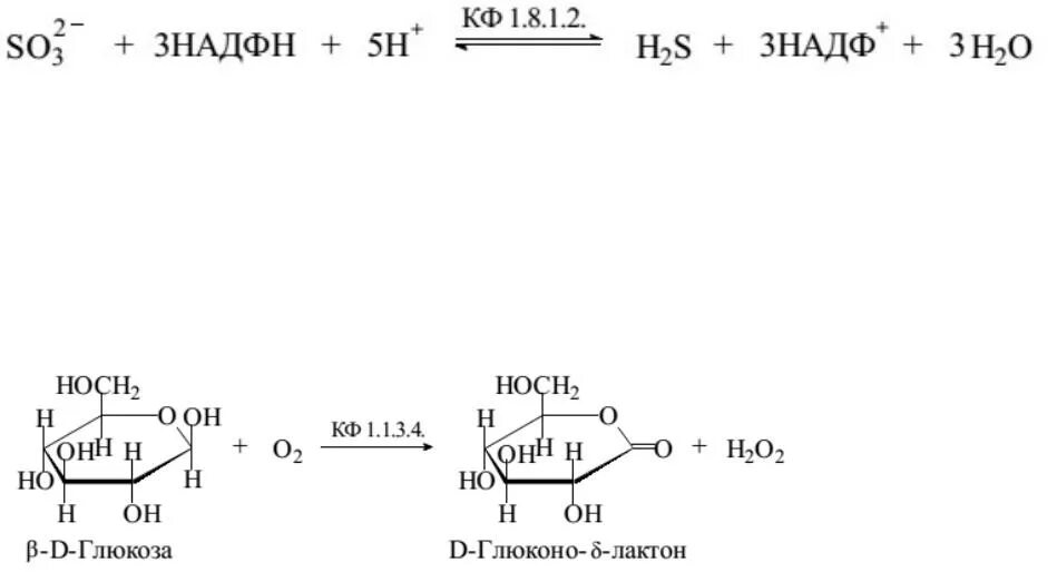 Восстановление Глюкозы НАДФН. Окисление Глюкозы НАДФН. Ферментативное окисление d Глюкозы. Окисление Глюкозы глюкозооксидазой. Окисление глюкозы кислородом реакция