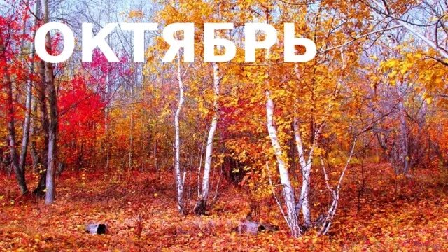 Октябрь первый холодный месяц осени впр. Сентябрь надпись. Октябрь надпись. Осенние месяцы сентябрь. Осень сентябрь надпись.