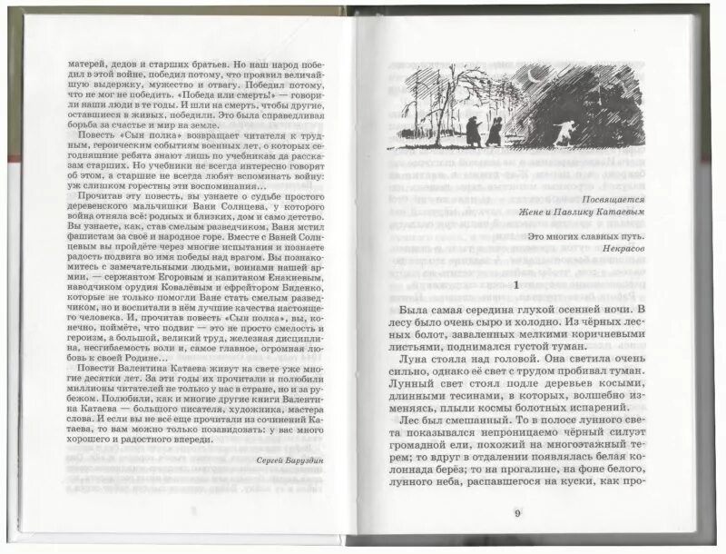 Иллюстрации к книге сын полка Катаев. Сын полка страницы книги. Сын полка оглавление книги. Сын полка сколько страниц в книге. Читать рассказ сын полка полностью