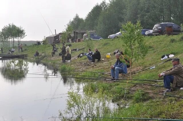 Ямны платная рыбалка. Цыгане плеханово тула. Плехановские пруды тула рыбалка. Кафе в плеханово тула. Баня в плеханово тула.