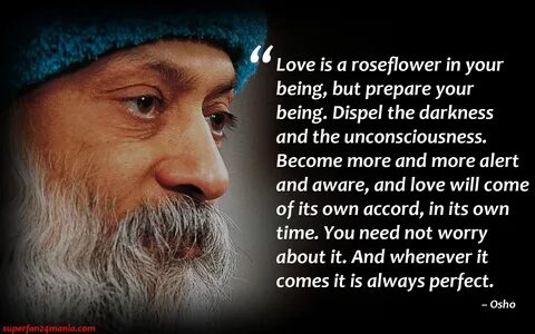 If You Love A Flower Quote Osho