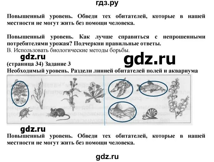 Окружающий мир 3 класс проверочная экология