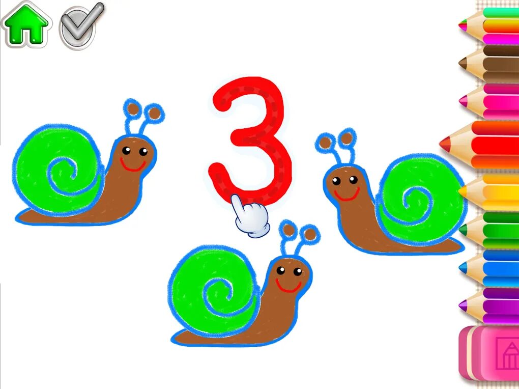 Numbers 1 3