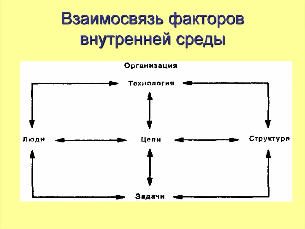 Определите взаимо. Факторы внутренней среды организации схема. Взаимосвязь внутренних факторов организации. Взаимосвязь факторов внутренней среды. Взаимосвязь факторов внутренней среды организации.