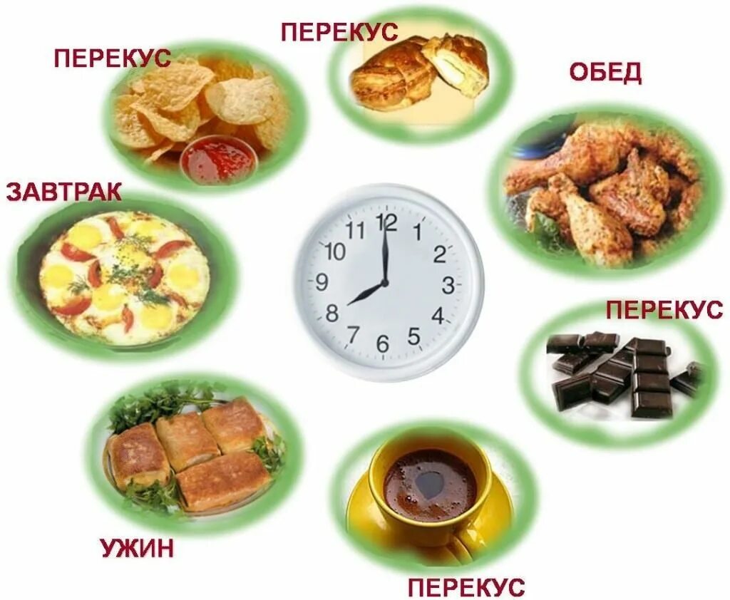 Питание 2 3 раза в день