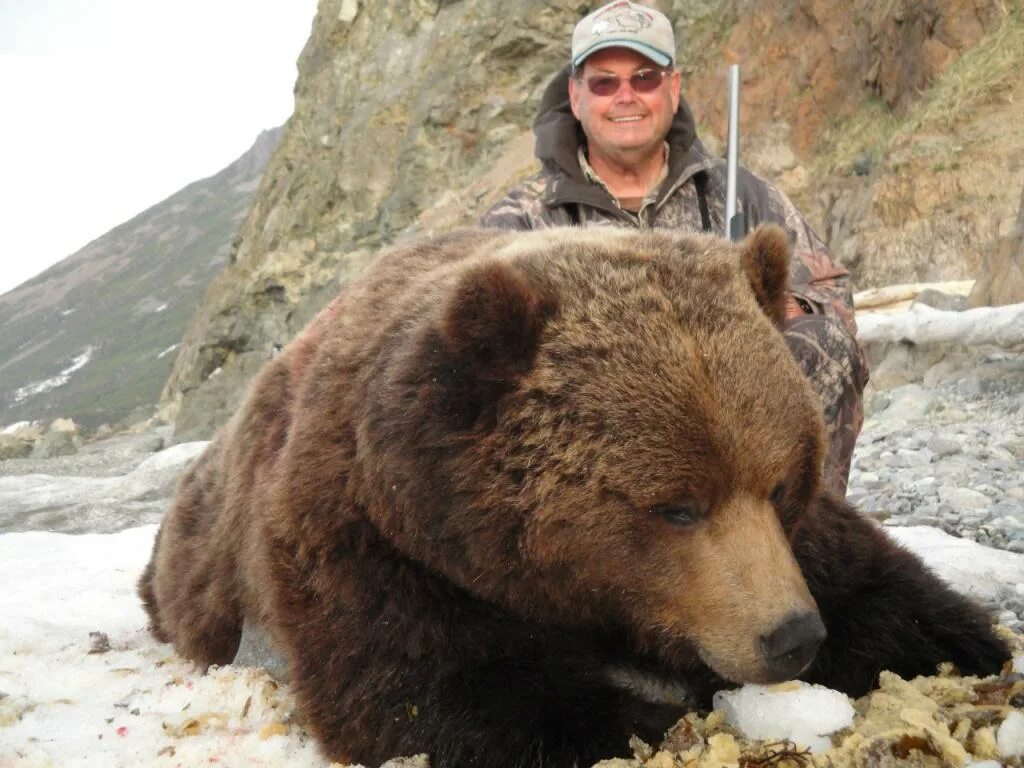 Охота на медведя на кольском полуострове. Охота на медведя с лайками в тайге в сибири. медведь амурская область.