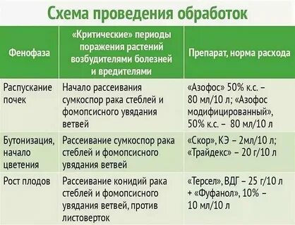 При какой температуре опрыскивать медным купоросом осенью